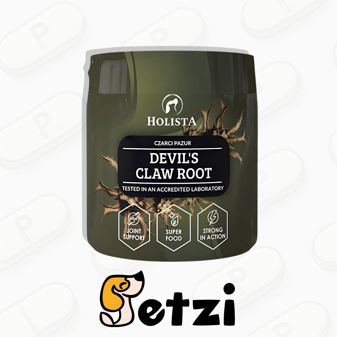 HOLISTA DEVIL'S CLAW ROOT CZARCI PAZUR
