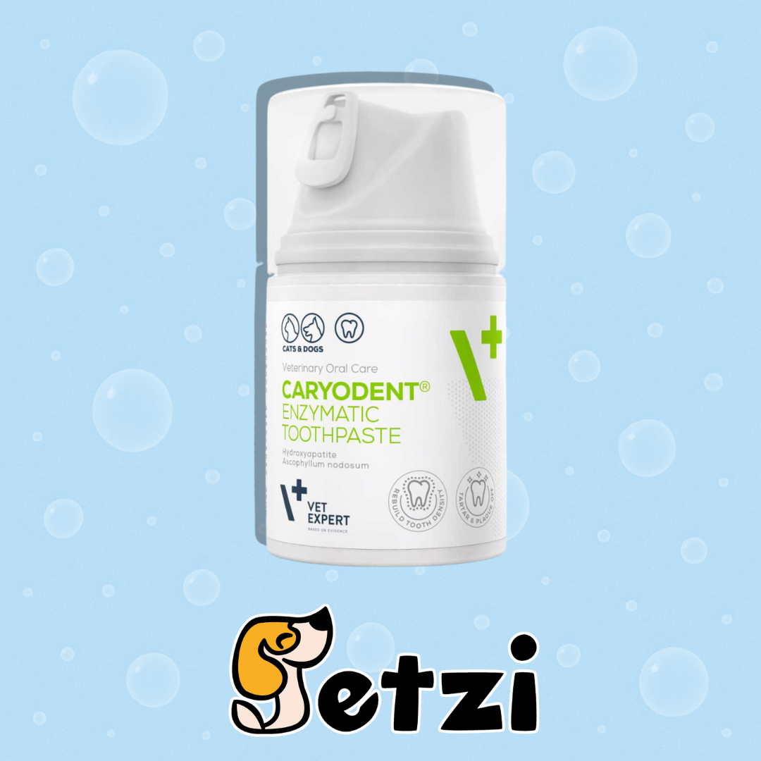 VET EXPERT CARYODENT ENZYMATIC TOOTHPASTE – PASTA ENZYMATYCZNA DLA PSA I KOTA