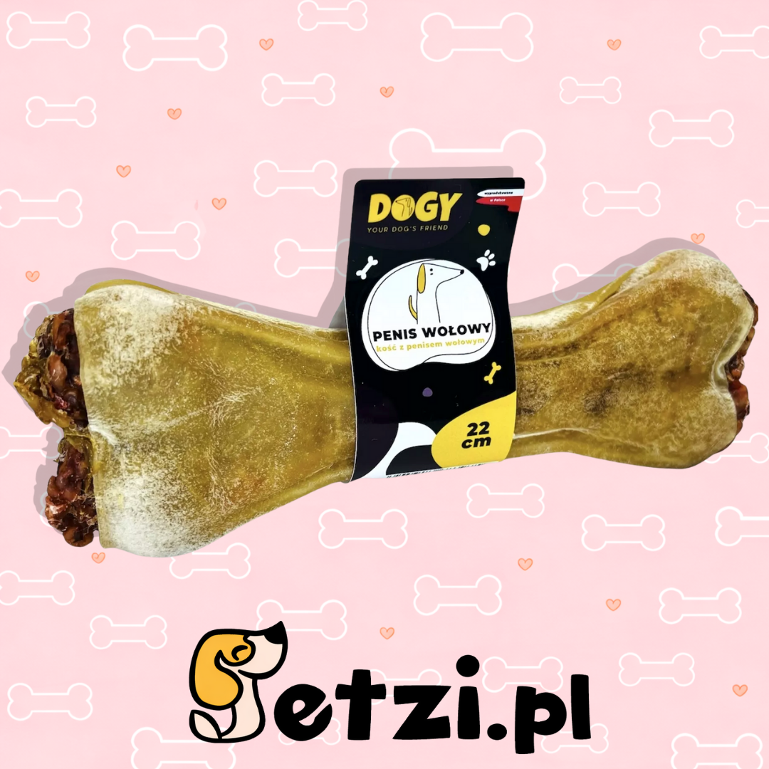 DOGY KOŚĆ Z PENISEM WOŁOWYM 22CM - KOŚĆ DO GRYZIENIA I ŻUCIA
