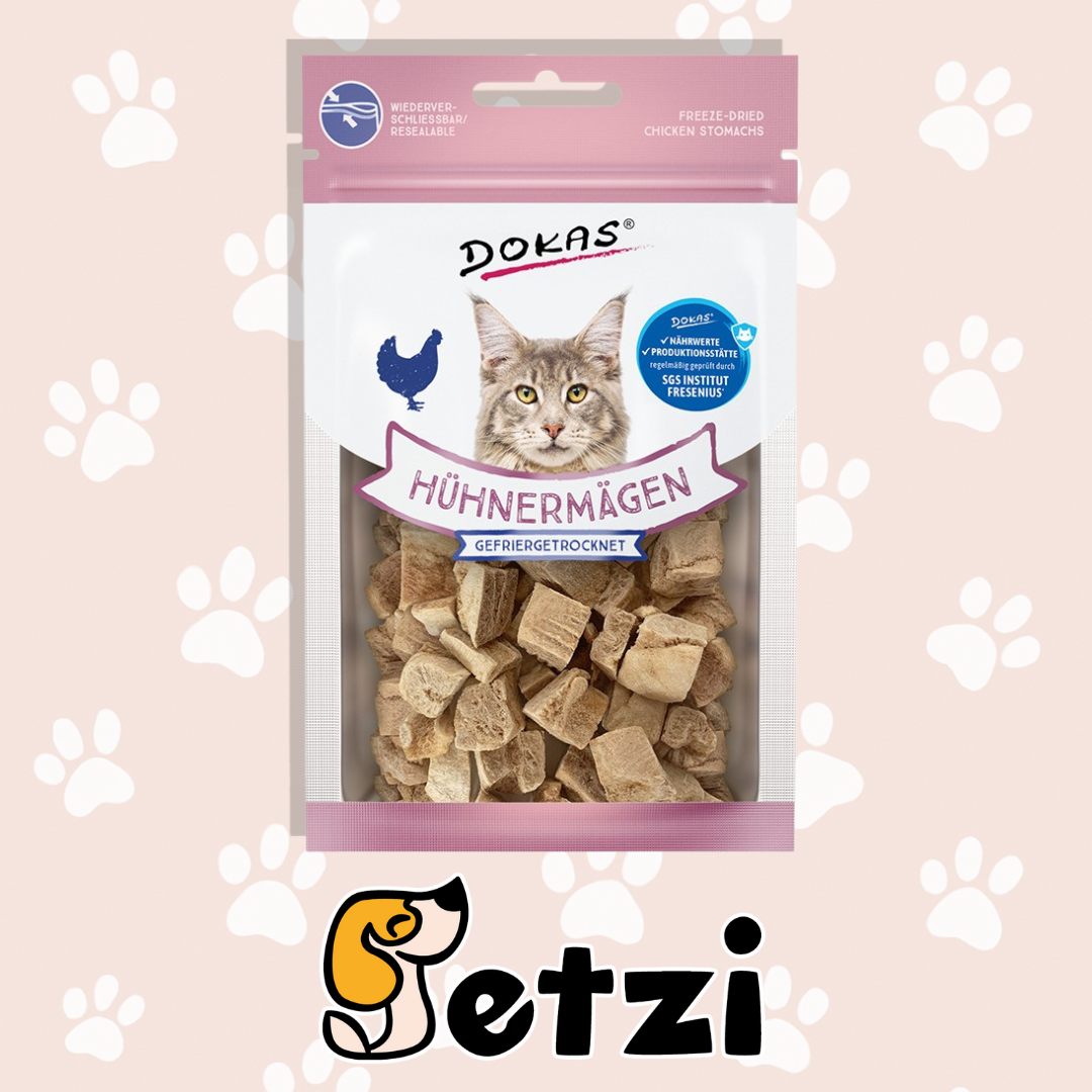 DOKAS KOT LIO - RÓŻNE RODZAJE