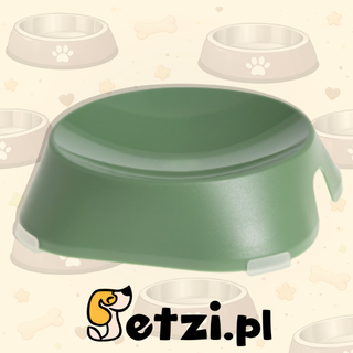 FIBOO MISKA PŁYTKA ZIELONY - EKOLOGICZNA I PRAKTYCZNA