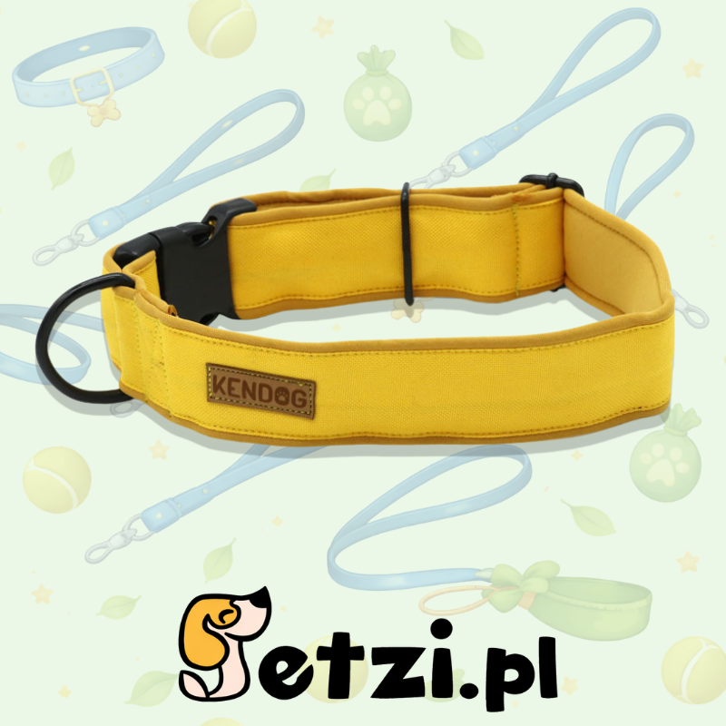 KENDOG OBROŻA MONOCOLOR YELLOW 5CM S