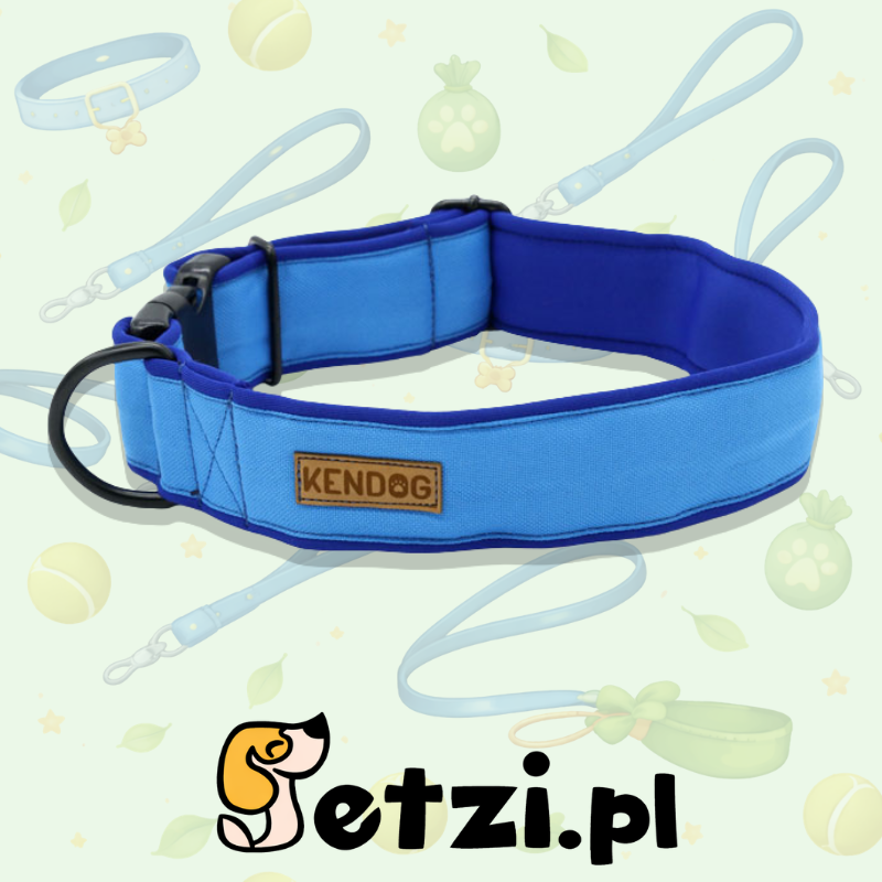 KENDOG OBROŻA MONOCOLOR BLUE 4CM S