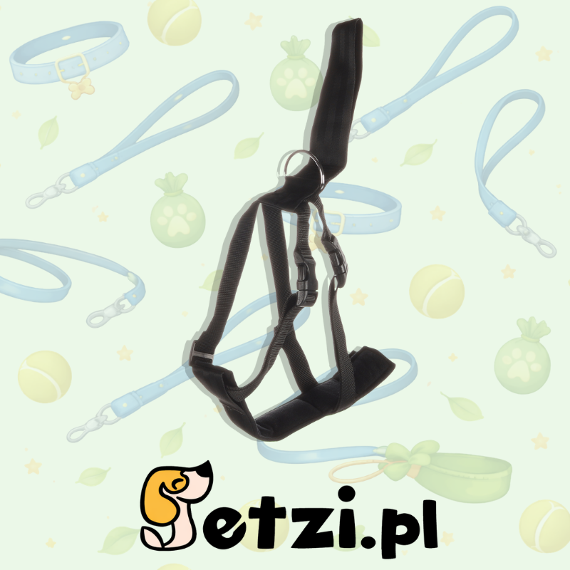 FLAMINGO CAR SAFETY HARNESS BARO BLACK XL 44-74X56-90CM