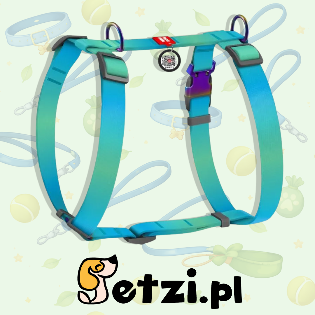 WAUDOG NYLON SZELKI GUARD M 20 MM NIEBIESKI