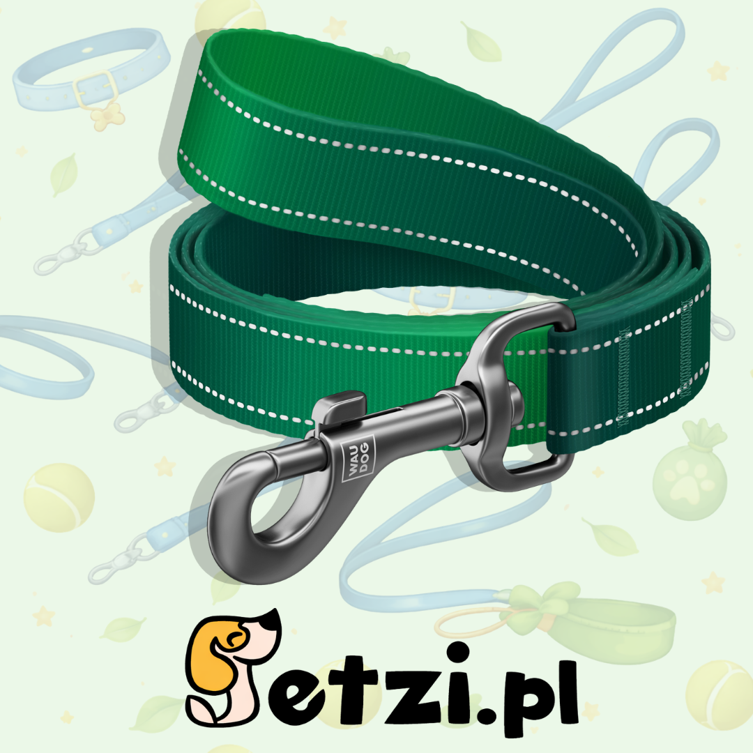 WAUDOG NYLON MONO SMYCZ L-XXL 25MM 300CM ZIELONY