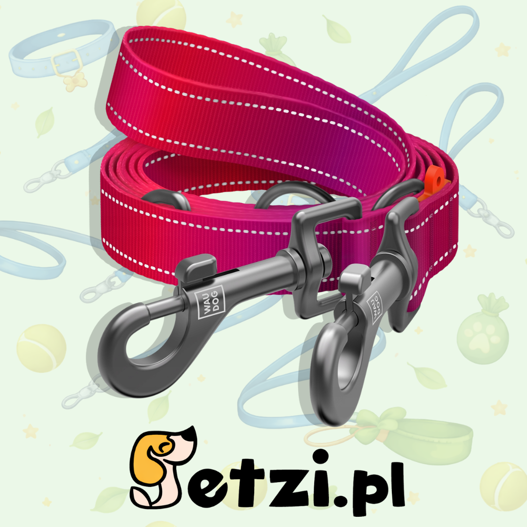WAUDOG NYLON MONO SMYCZ PRZEPINANA ODBLASKOWA M 20 MM 300CM RÓŻOWY