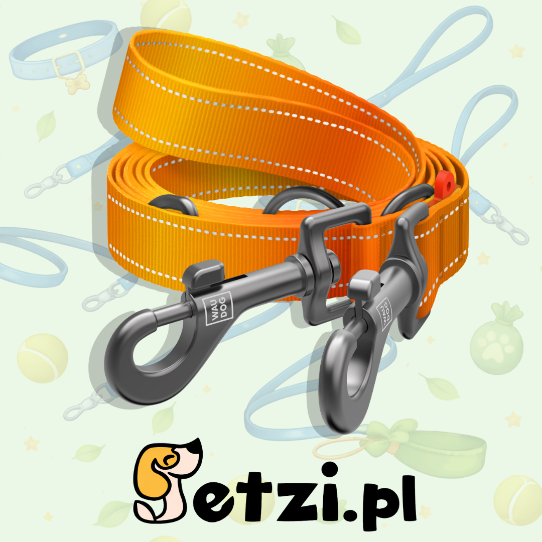 WAUDOG NYLON MONO SMYCZ PRZEPINANA ODBLASKOWA M 20 MM 300CM POMARAŃCZOWY