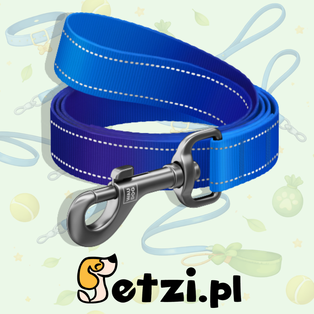 WAUDOG NYLON MONO SMYCZ L-XXL 25MM 300CM NIEBIESKI