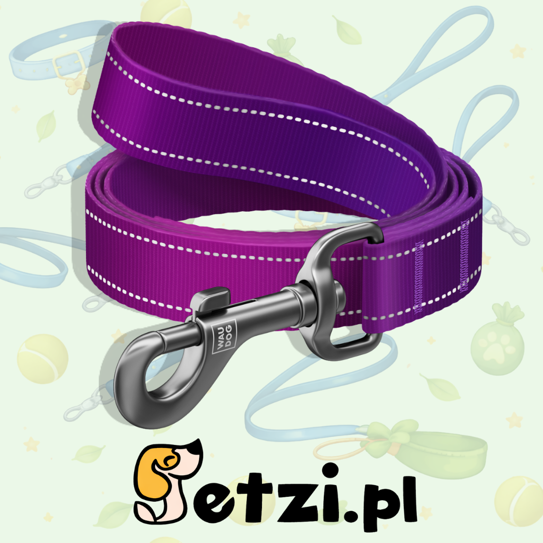 WAUDOG NYLON MONO SMYCZ M 20MM 300CM FIOLETOWY
