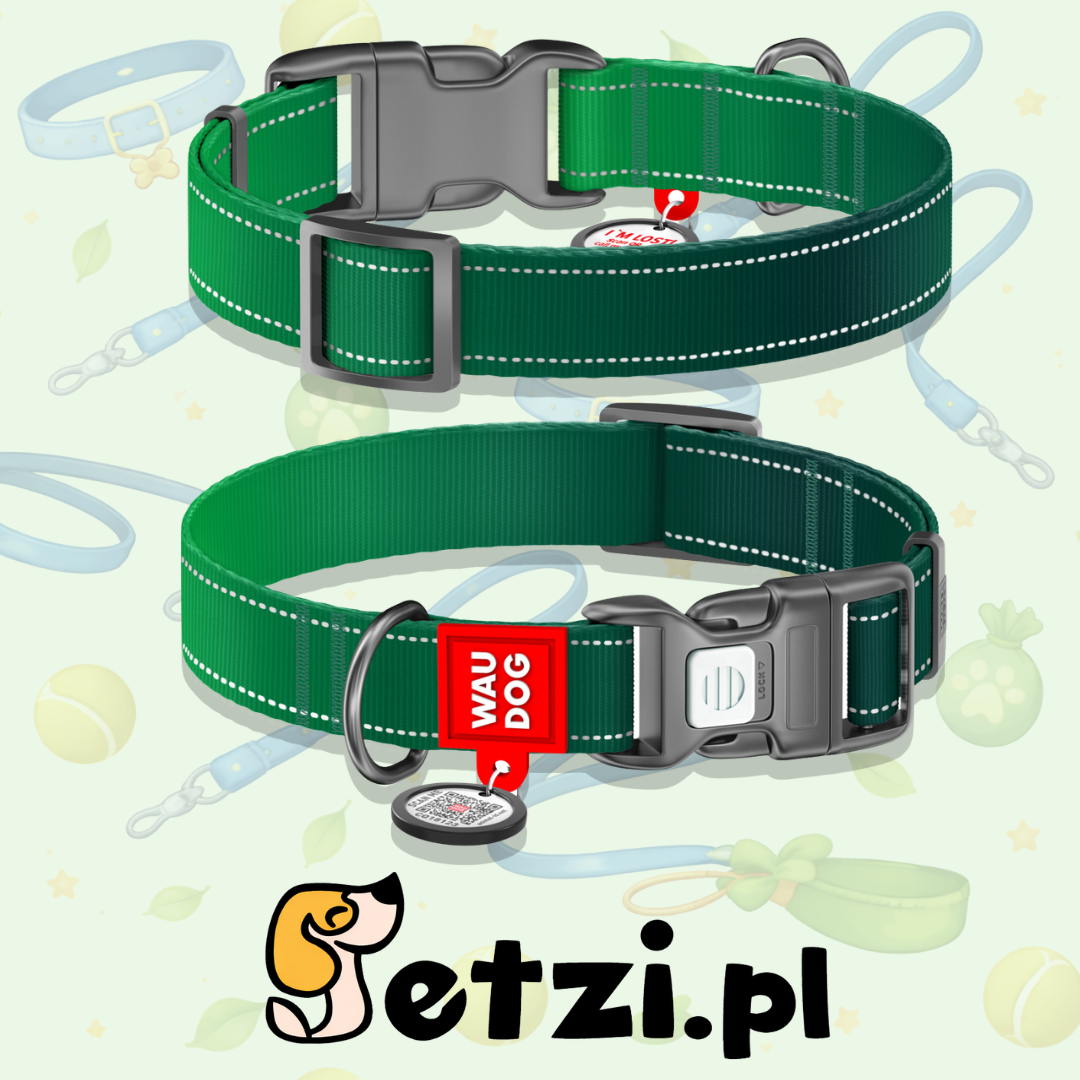 WAUDOG NYLON MONO OBROŻA PLASTIKOWY FASTEX XL 25MM ZIELONY