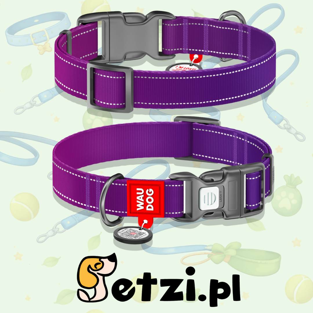 WAUDOG NYLON MONO OBROŻA PLASTIKOWY FASTEX L 25MM FIOLETOWY