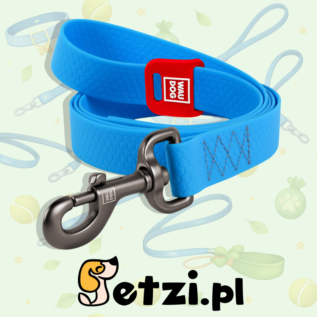 WAUDOG WATERPROOF SMYCZ L-XXL 25 MM 305CM NIEBIESKI
