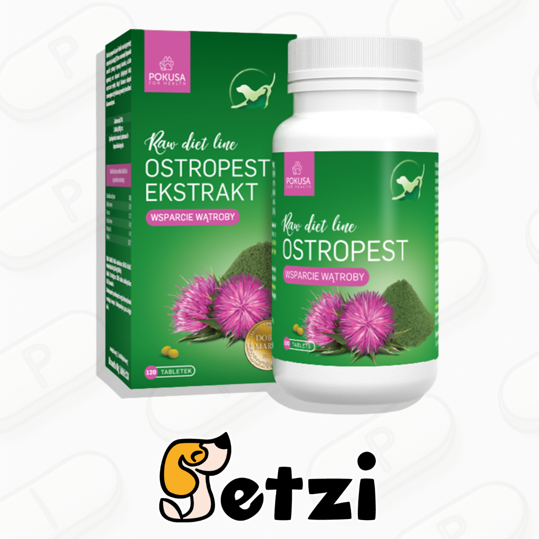 POKUSA RAWDIETLINE OSTROPEST 120 TABLETKI