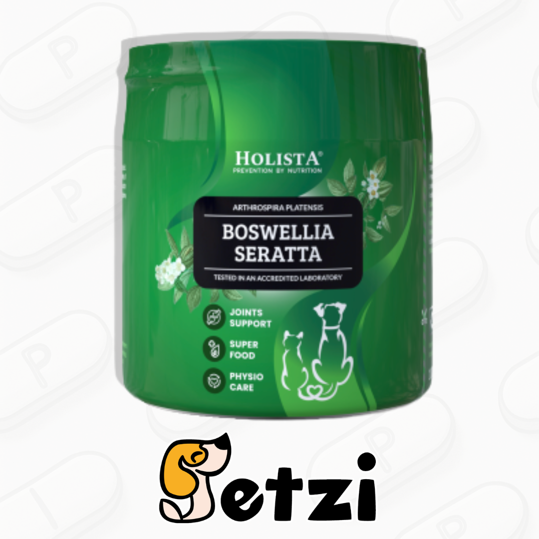 HOLISTA BOSWELLIA SERATTA 100G - NATURALNE WSPARCIE STAWÓW DLA PSA I KOTA