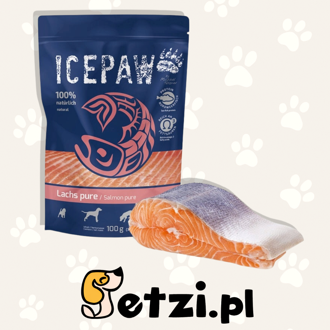 ICEPAW MOKRA KARMA DLA PSA MOKRA KARMA DLA KOTA PURE SALMON 100G