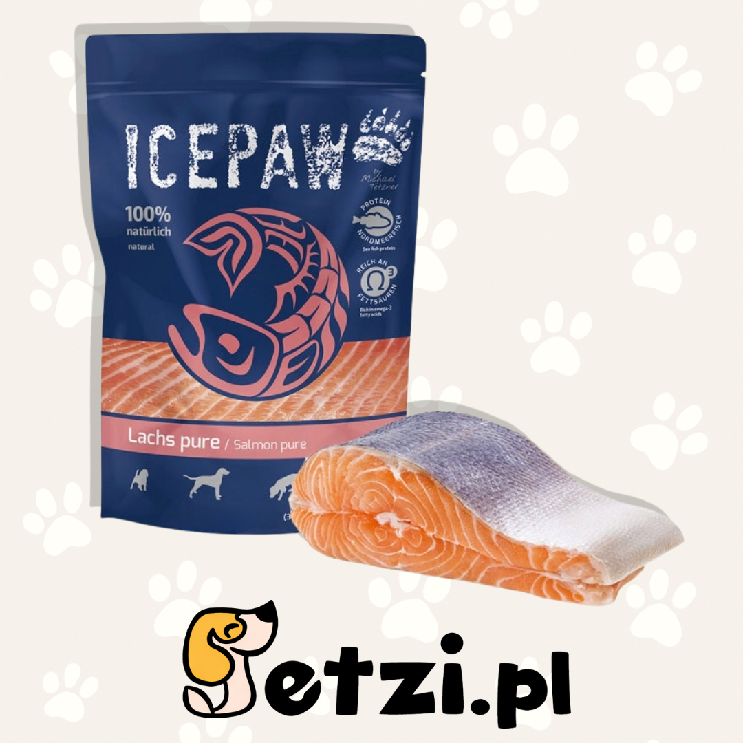 ICEPAW MOKRA KARMA DLA PSA MOKRA KARMA DLA KOTA PURE SALMON 400G