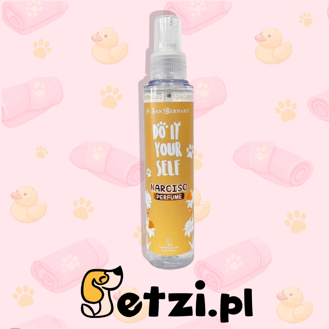 IV SAN BERNARD DIY NARCISO PERFUMY DLA PSA I KOTA 125 ML