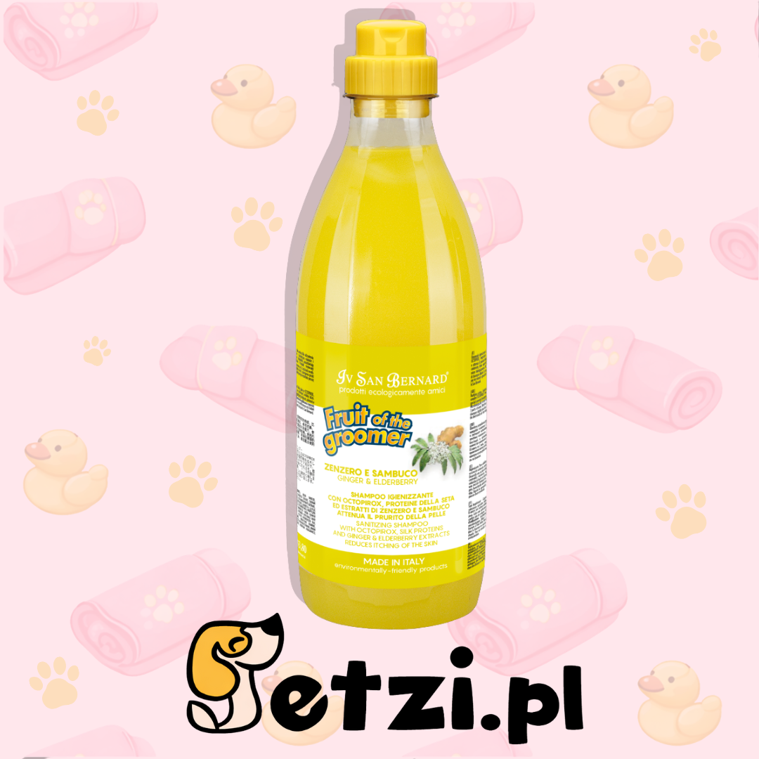 IV SAN BERNARD FRUIT OF THE GROOMER GINGER & ELDERBERY SZAMPON DLA PSA I KOTA 500 ML