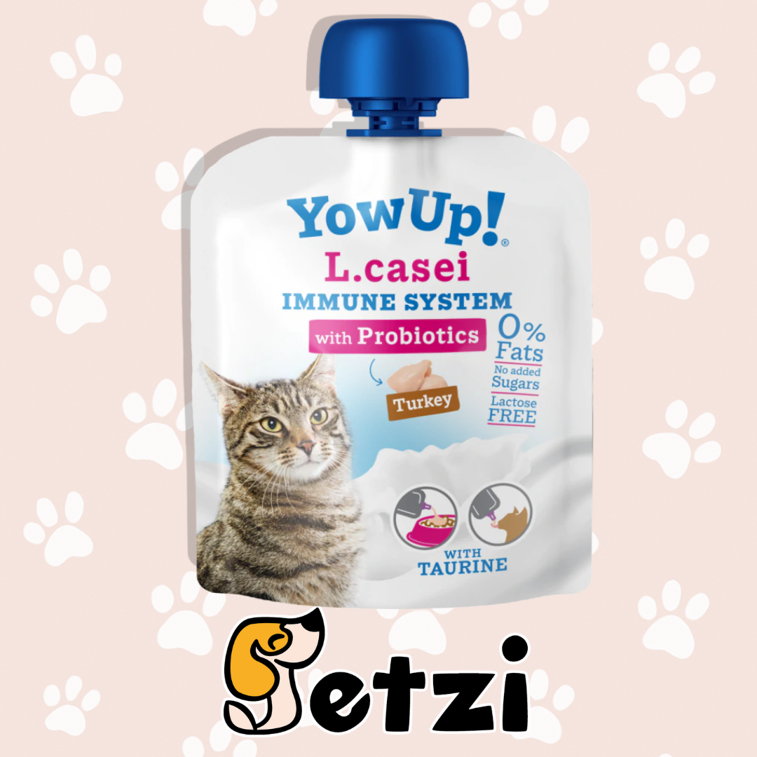 YOW UP! JOGURTY PREBIOTYCZNE DLA KOTA - RÓŻNE RODZAJE