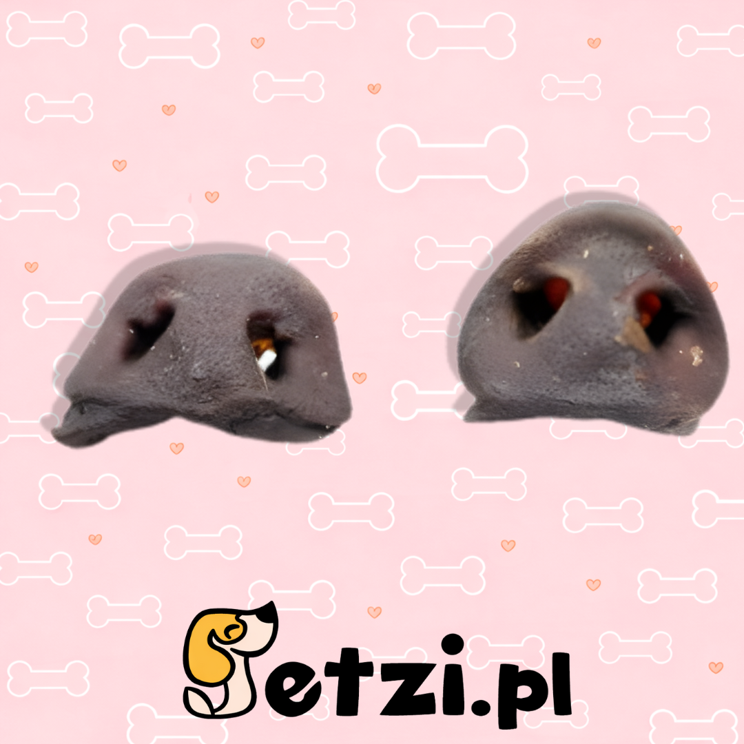 MEATSTUFF GRYZAK DLA PSA NOSEK DZIKA 2 SZT.