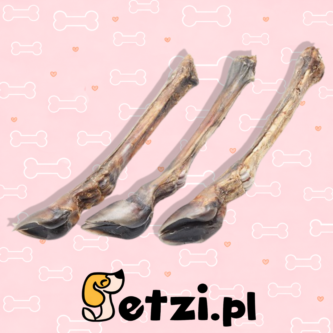 MEATSTUFF GRYZAK DLA PSA RACICA JELENIA 1 SZT.