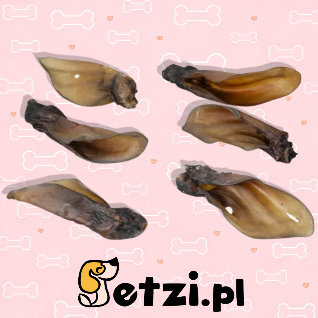 MEATSTUFF GRYZAK DLA PSA UCHO WOŁOWE 5SZT