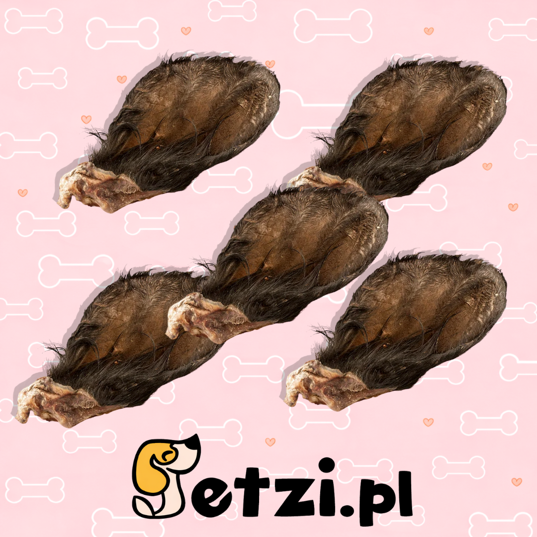 MEATSTUFF GRYZAK DLA PSA UCHO WOŁOWE Z FUTREM 5SZT