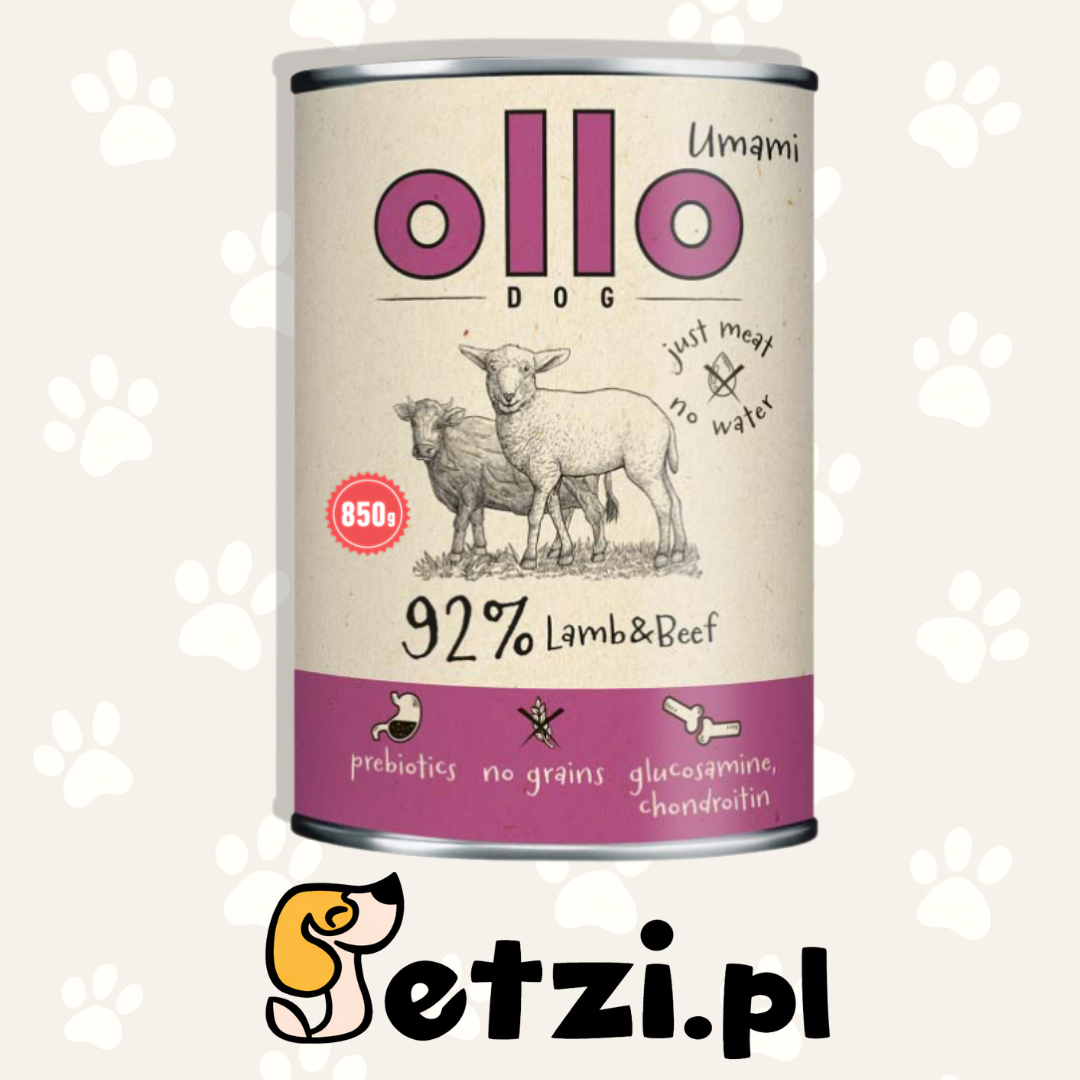 OLLO UMAMI MOKRA KARMA DLA PSA JAGNIĘCINA I WOŁOWINA 850G