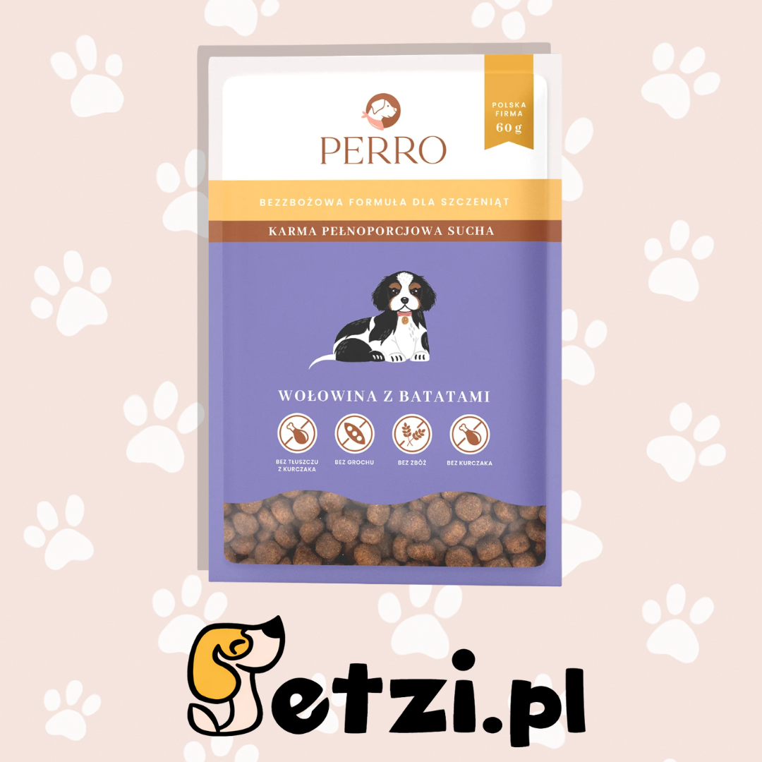 PERRO JUNIOR SUCHA KARMA DLA PSA WOŁOWINA Z BATATAMI 60G