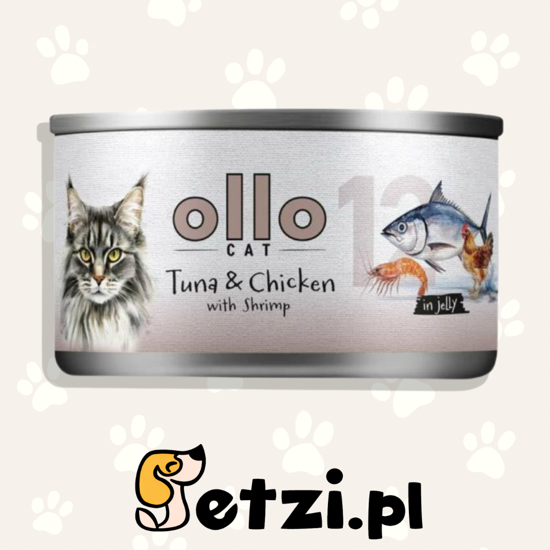 OLLO MOKRA KARMA KOT NR12 TUŃCZYK KURCZAK KREWETKI 70G