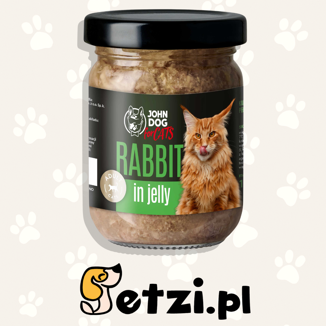 JOHN DOG MOKRA KARMA KOT KITTEN GALARETKA KRÓLIK 100G