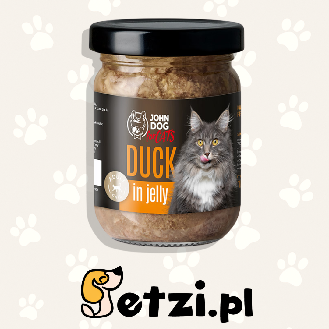 JOHN DOG MOKRA KARMA KOT GALARETKA KACZKA 100G
