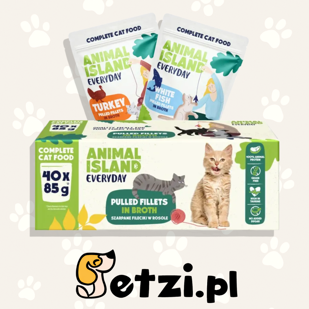 ANIMAL ISLAND MOKRA KARMA KOT WOŁOWINA KURCZAK INDYK BIAŁA RYBA 40X 85G