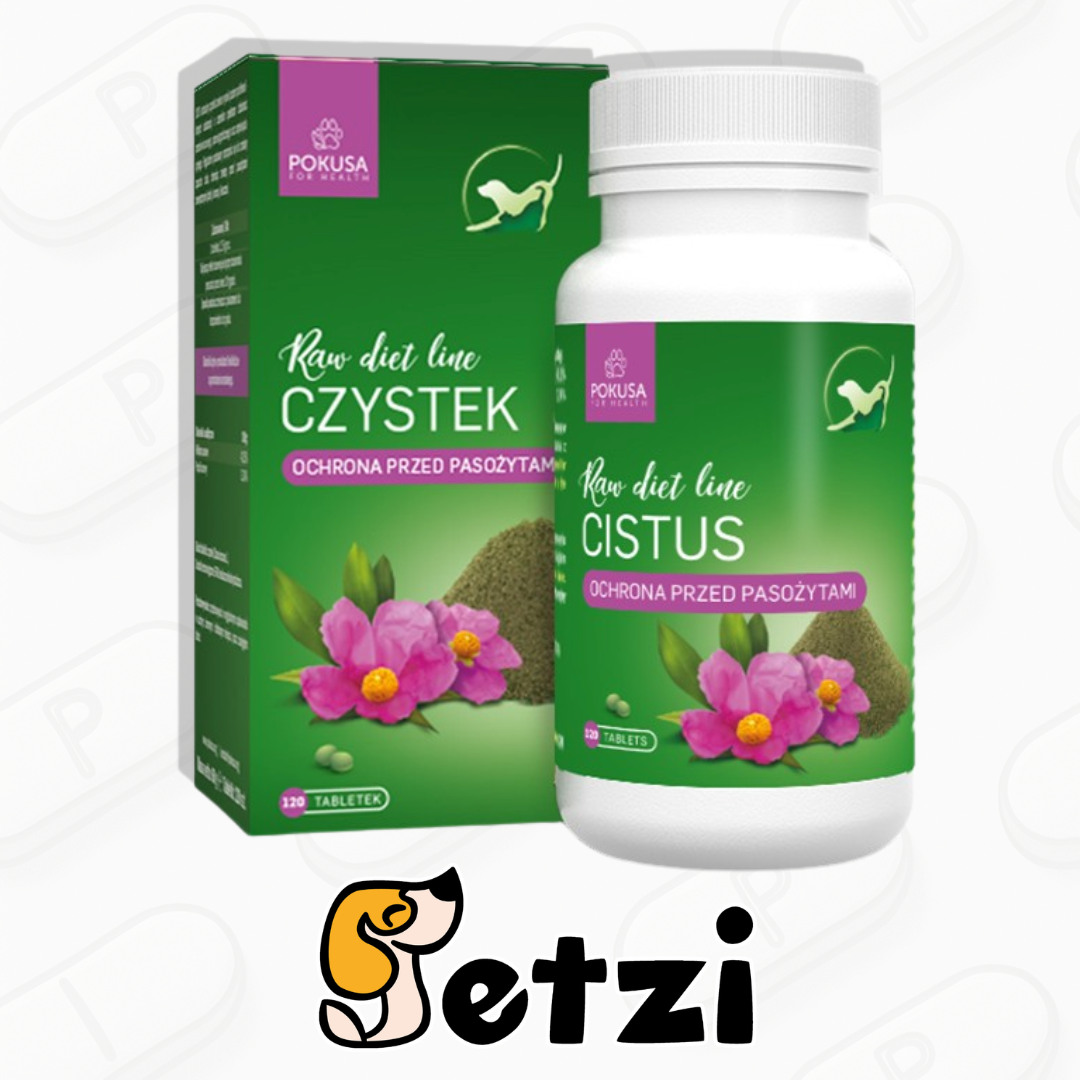 POKUSA RAWDIETLINE CISTUS CZYSTEK 120 TABLETEK