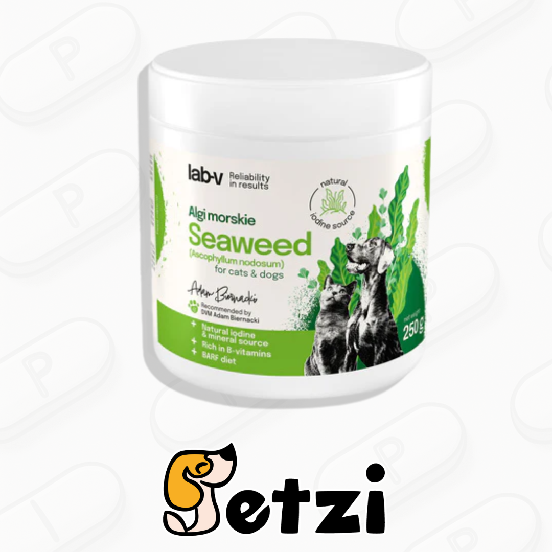 LAB V ALGI MORSKIE 250G