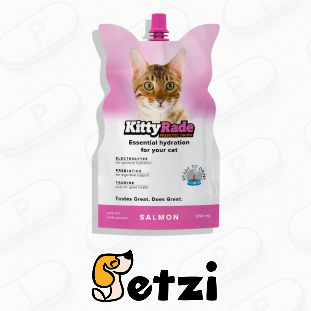 KITTYRADE NAPÓJ IZOTONICZNY DLA KOTA ŁOSOŚ 250ML