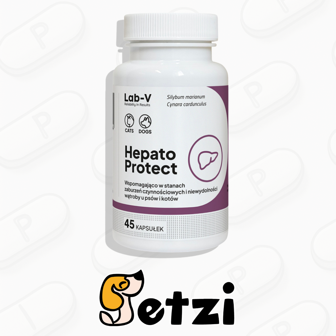 LAB V HEPATO PROTECT 45 KAPSUŁEK