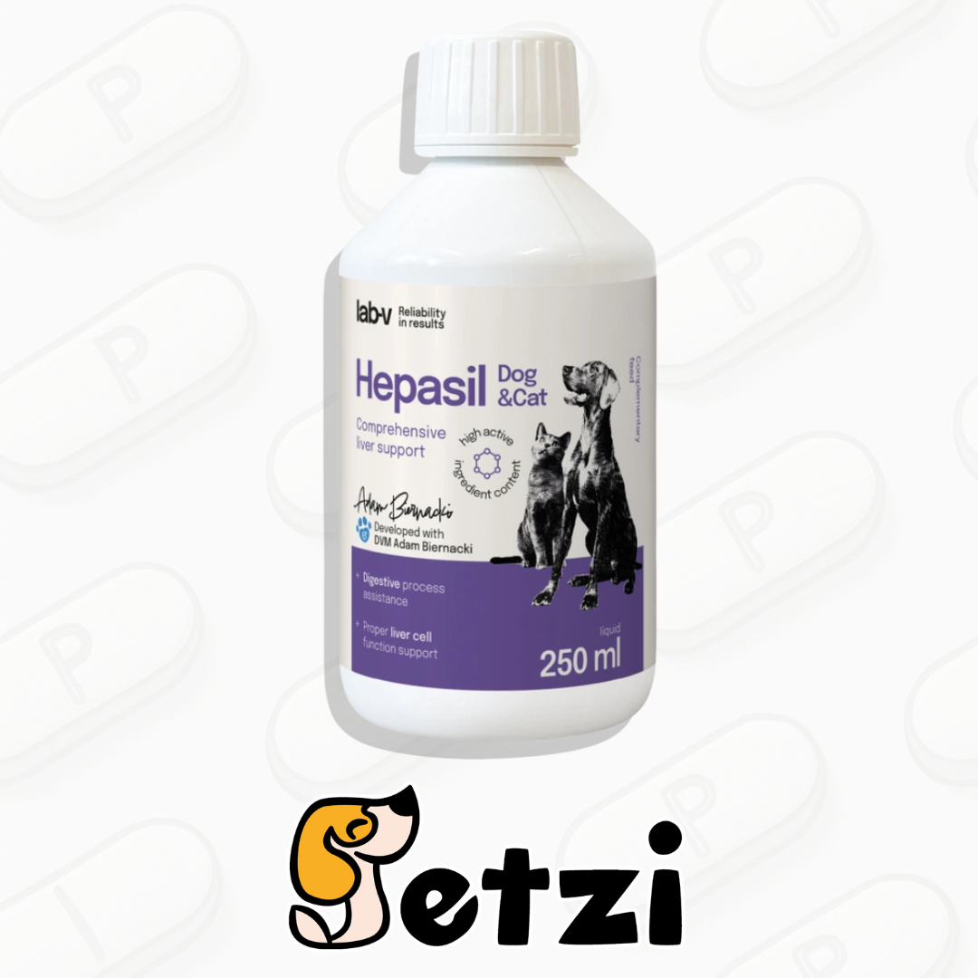 LAB V HEPASIL DOG & CAT 250ML