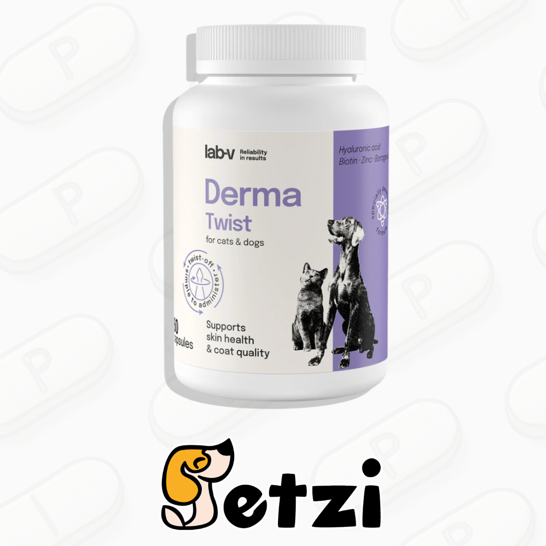 LAB V DERMA TWIST 60 KAPSUŁEK