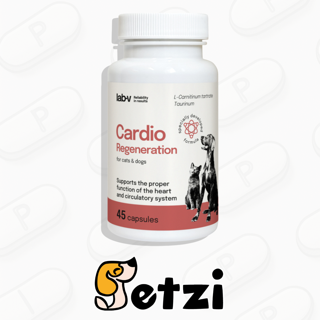 LAB V CARDIO REGENERATION 45 KAPSUŁEK