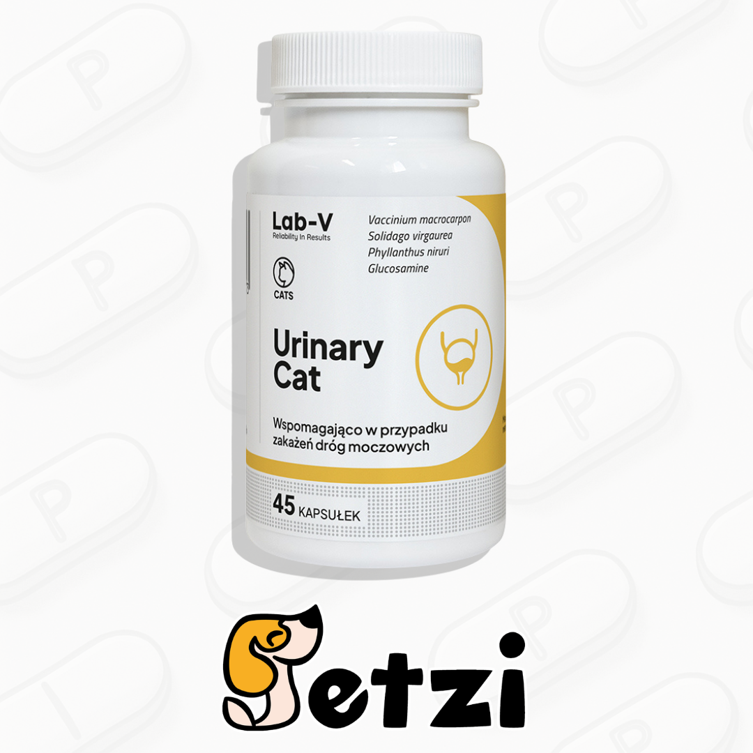 LAB V URINARY CAT 45 KAPSUŁEK
