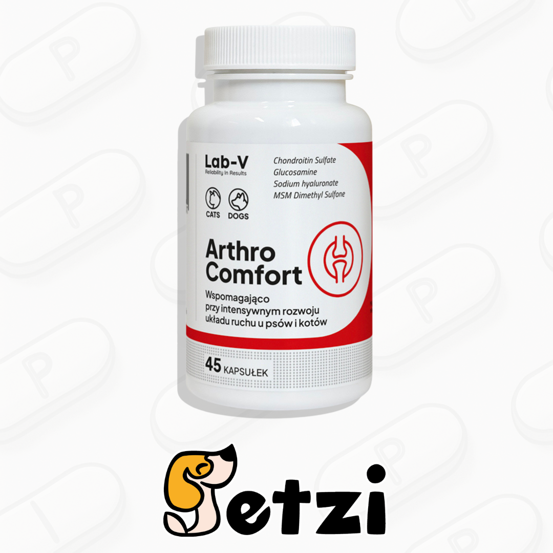 LAB V ARTHRO COMFORT 45 KAPSUŁEK