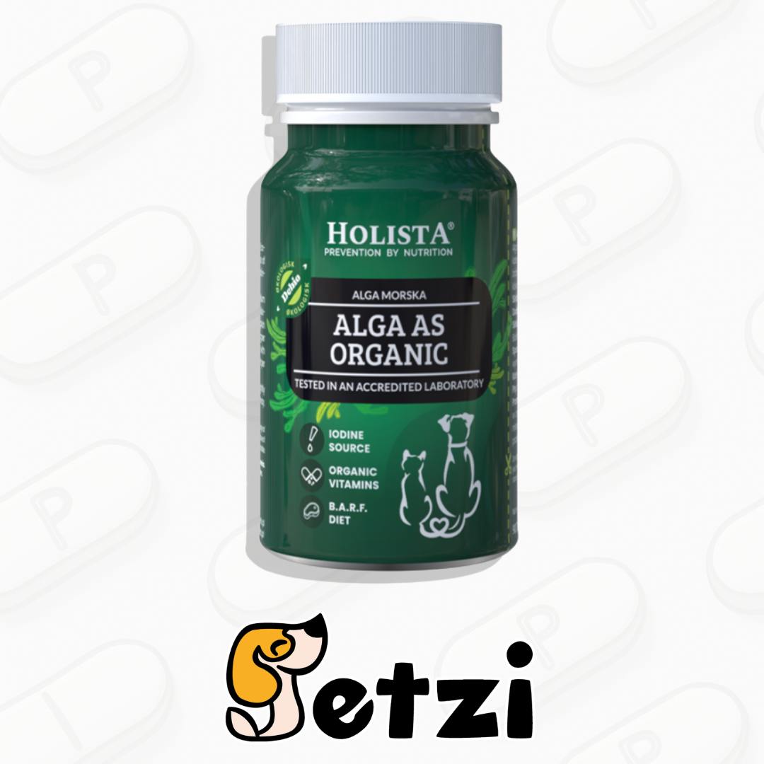 HOLISTA BIO ALGA AS ORGANIC 90 TABLETEK