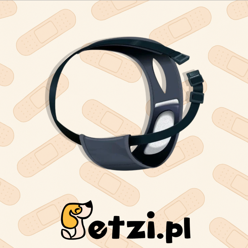 TRIXIE MAJTKI NA CIECZKĘ S - CZYSTOŚĆ HIGIENA I KOMFORT W CZASIE CIECZKI