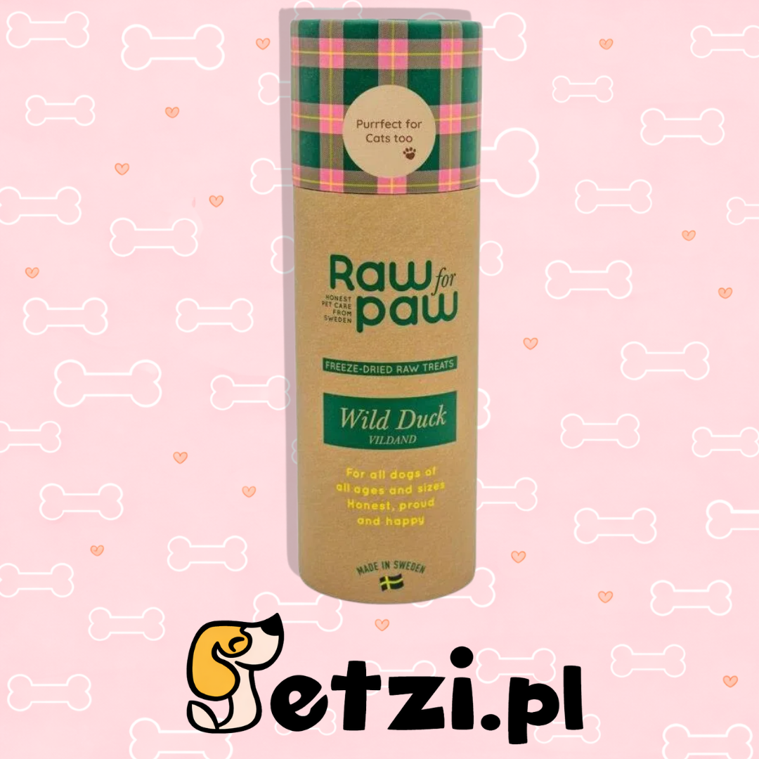 RAW FOR PAW PRZYSMAKI DLA PSA LIO WILD DUCK 45G