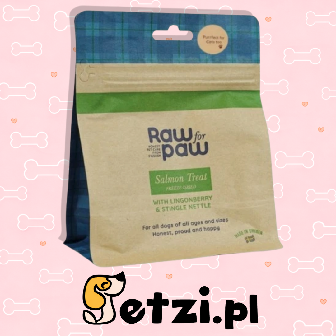 RAW FOR PAW SALMON - ŁOSOŚ LIOFILIZOWANE PRZYSMAKI (50G)
