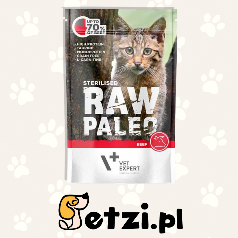 RAW PALEO STERILISED MOKRA KARMA DLA KOTA BEEF 100G