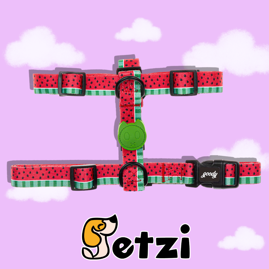 GOODY SZELKI GUARD – RÓŻNE WZORY I ROZMIARY