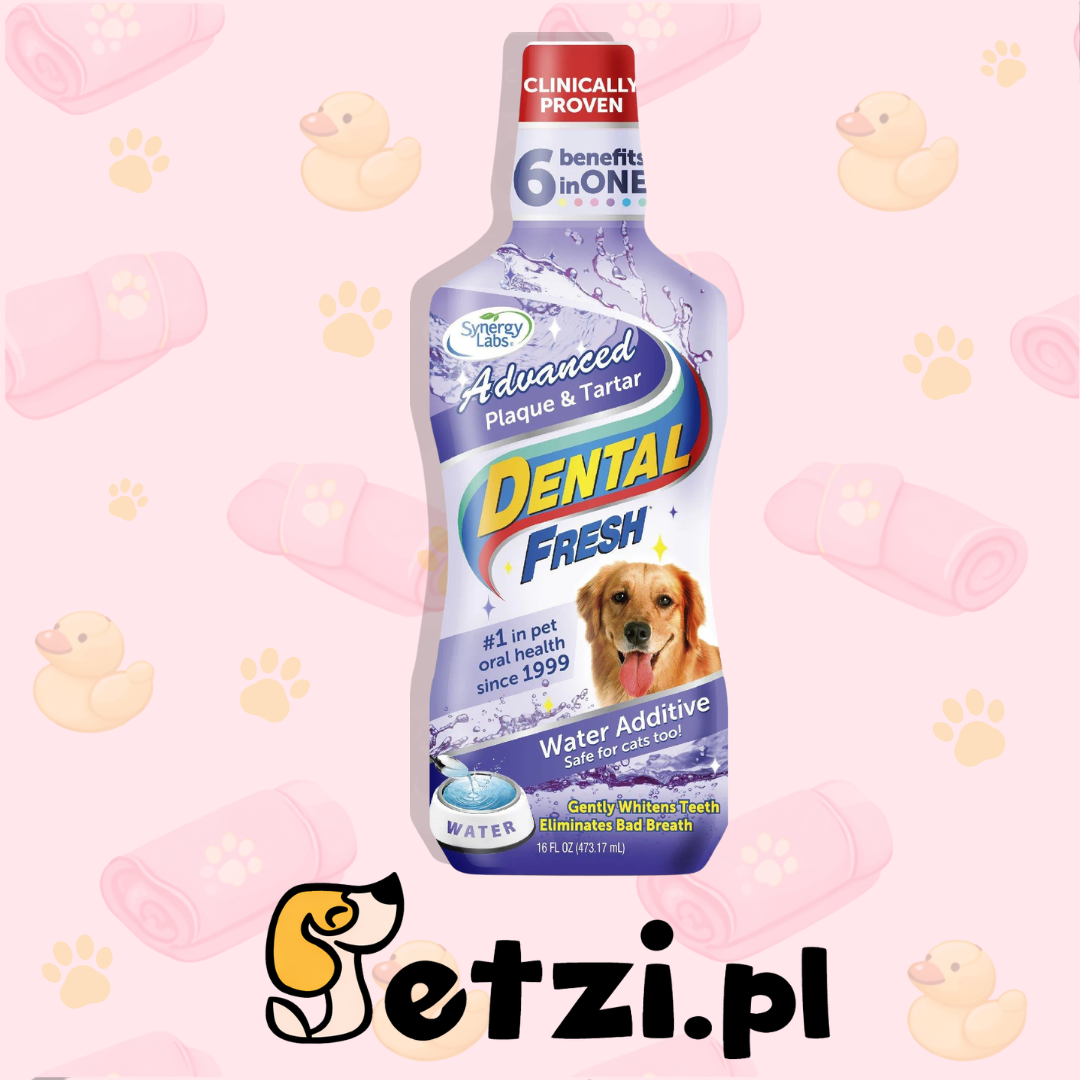 SYNERGY LABS DENTAL FRESH KAMIEŃ I OSAD 237ML